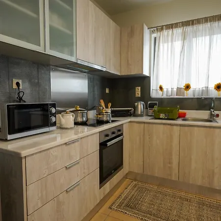 Theo And Ms Luxurious By Filos Inc *